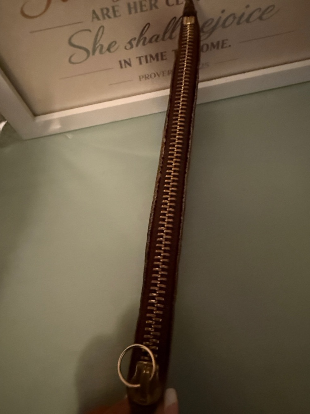 Louis Vuitton Monogram Canvas Zip Pouch in Brown - Picture 2 of 5